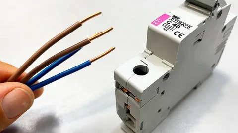 Expert electrical connections in Auckland for homes and businesses