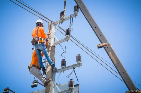 Professional powerline contractor providing electricity line services in Auckland