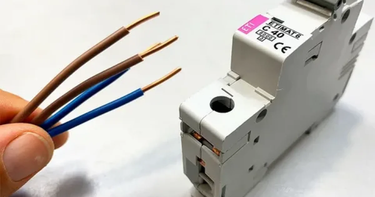 Expert electrical connections in Auckland for homes and businesses